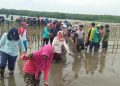Ikatan Mahasiswa dan Pelajar Blora (IMPARA) ikuti penanaman 11.000 Mangrove di pesisir Pantai Pantura Mangkang bersama Komonitas LindungHutan. Minggu(16/12/18)