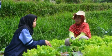Petani Sayur Cisarua, KKN UIN Walisongo, Kelompok 59 KKN MIT XIV UIN Walisongo Semarang