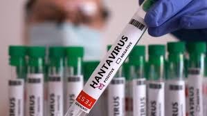 virus hanta, penyebaran virus hanta, mv hondinus, world health organization, penyakit zoonosis