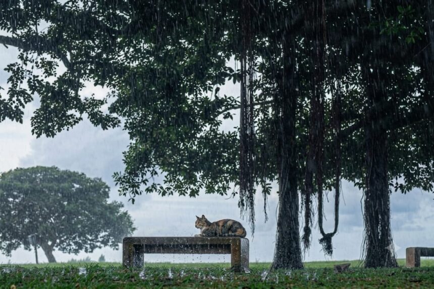 kenangan di balik hujan, cerpen soeket teki, cerpen skm amanat, cerpen amanat, soeket teki skm amanat