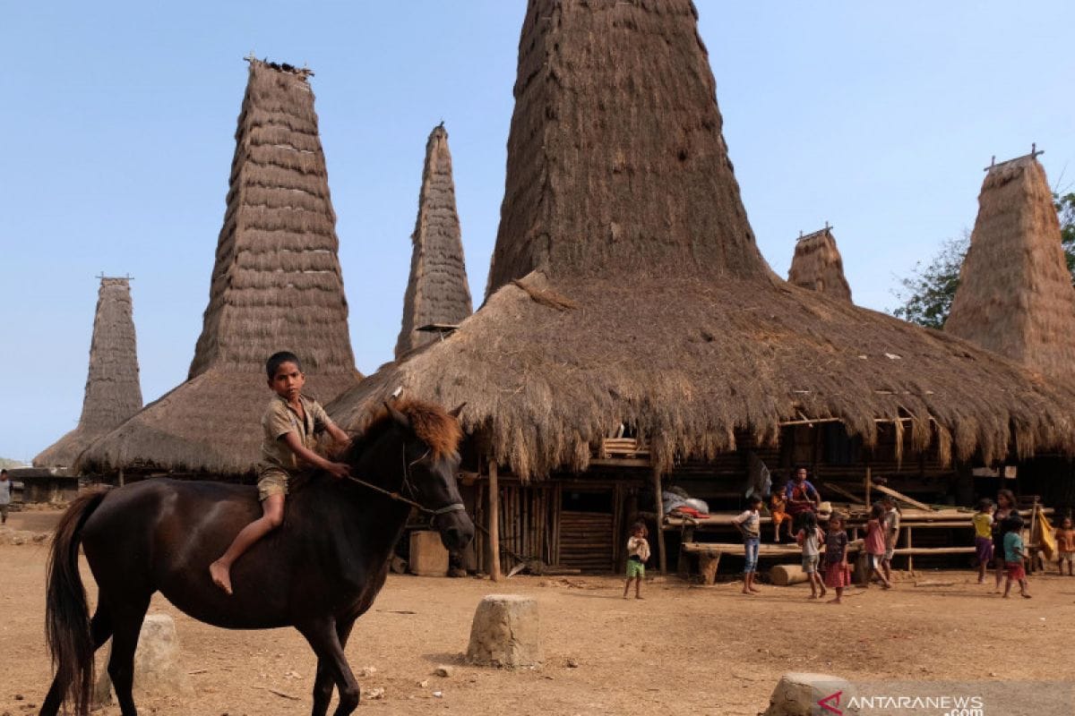 kemerdekaan ri ke-81, perbudakan adat sumba, perbudakan, pulau sumba, nusa tenggara timur