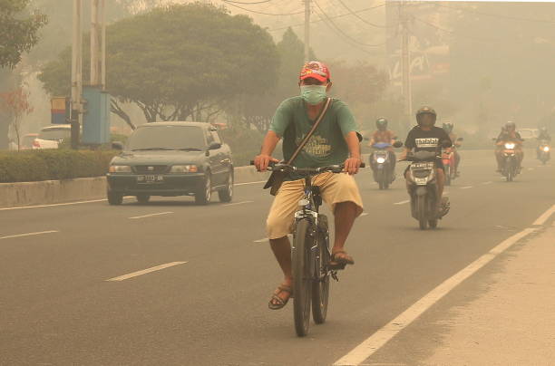 anggaran bnbp 2026, mitigasi bencana, efisiensi anggaran, penanggulangan bencana, tanggung jawab pemerintah